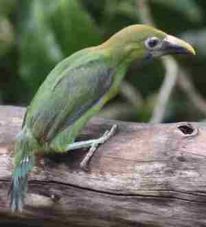 Jornadas sobre la contratación con consumidores de productos financieros